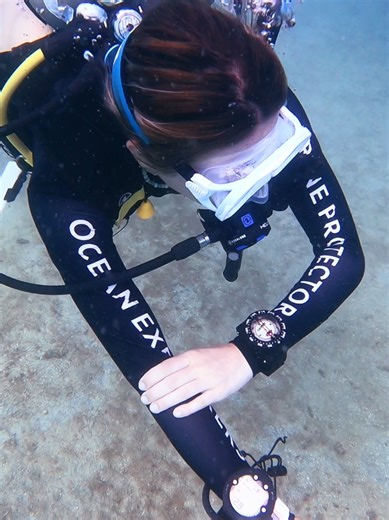 Master Underwater Navigation Skills with PADI