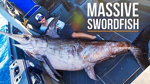 23M views · 445K reactions | This is the Greatest Swordfish Fishing in the World. Swordfish grow over 1500lbs, can swim deeper than 7000ft, and frighten nearly any fish they encounter. I am on a mission to catch one over 1000lbs, and there's only one place in the world where a fish that size is common- New Zealand, with Matt Watson. Ultimate Fishing | BlacktipH | Facebook