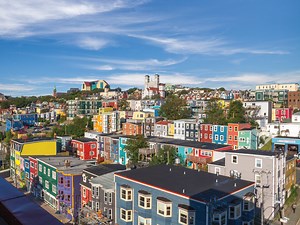 14 best things to do in St. John’s with kids - Today's Parent