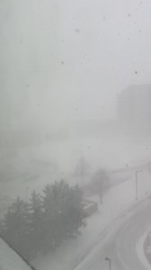 Blizzard in London Ontario. January 19, 2026 | Cerlin Hodgson