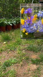 69K views · 583 reactions |  #flowerarrangement #flowergiftbox #floraldesigns #flowerboxarrangement #bouquetbox | FloralSupplies.com | Facebook