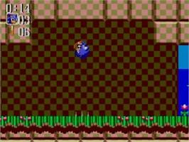 Sonic Chaos - Sega Master System - Games Database