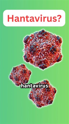 What is Hantavirus? (Deadly Rodent Virus Explained)