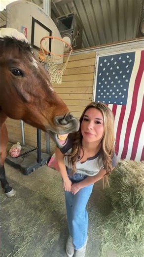 My horsey love me #short #shorts #bailey_holahalo😍