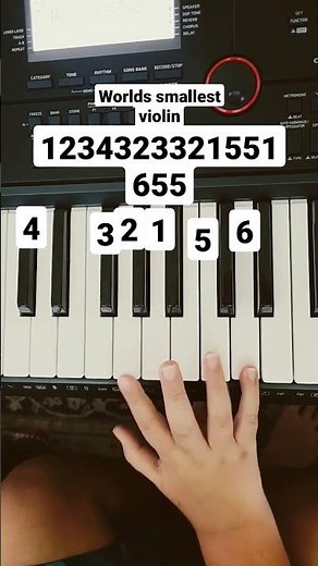 how to play worlds smallest violin on piano!