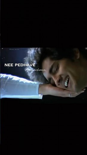 Niluvaddam Ninne song lyrics | Nuvvostanante Nenoddantana | Siddharth | Music beats 🎵🎶