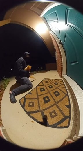 Doorbell Cam Madness Masked Intruder vs Angry Orange Cat in a Wild Midnight Fight!