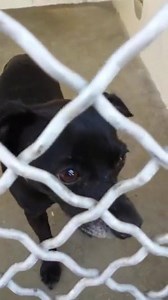 26 reactions · 18 shares | This little guy is scared and all alone...