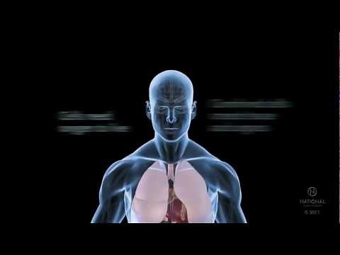 Body Basics: What is sleep apnea and how does it affect your body?