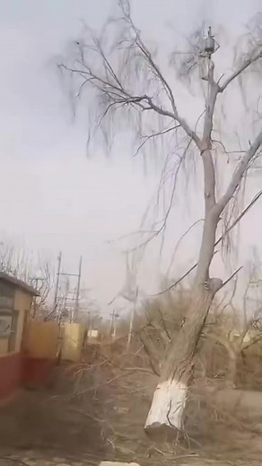 #satisfying #machines #in #action -7464555248120499464 | Diy 4 | Facebook