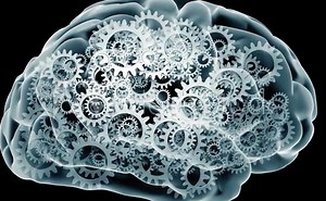 Clockwork Brain with camera move. X ray style brain filled with turning gears. Camera moves around it then stops.