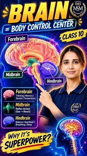 Control and Coordination | Class 10 | Brain Parts & Functions Explained in 60 Seconds! 🧠 | Science