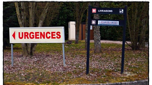 Botulisme : six personnes hospitalisées après avoir consommé des carottes mises en bocal de façon artisanale