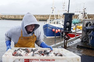 What we know so far about the Brexit trade agreement