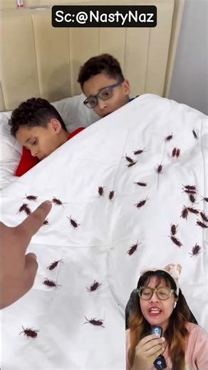 toy cockroach prank‼️@NastyNaz