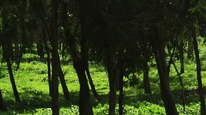 18K views · 704 reactions | “Global Warming has become a religion,”...