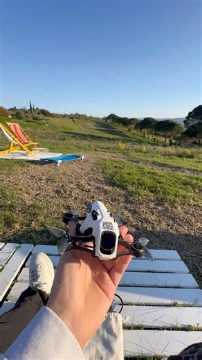 Speedy Bee Mario Mini 25 Pro - Air Unit O4 Pro ⚡️✨