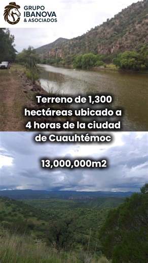 RANCHO GANADERO EN MADERA, CHIHUAHUA 💢 𝐓𝐞𝐫𝐫𝐞𝐧𝐨 de 1300 hectáreas ubicado a 4 hrs de la ciudad de Cuauhtémoc.📌 Superficie 13,000,000 m2🛣📌 Terreno rodeado de ranchos Ganaderos🐮🐄Se encuentra en la majestuosa sierra rodeado verdes pastos, pinos cuenta con varios potreros, dos hermosos ojos de agua y un río que atraviesa la propiedad el cual todo el año lleva aguaCuenta con un caminos internos y se encuentra todo cercado y delimitado Casa para trabajador equipada con paneles solares 📌 D