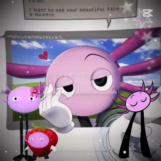 computer! internet! video! camera!