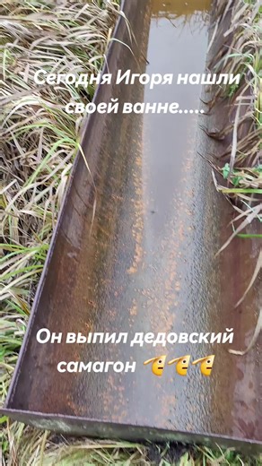 #animal #goviral #реки #врекомендации #фильмы | animal movie