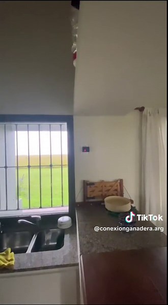 Cómo espantar murciélagos de tu casa