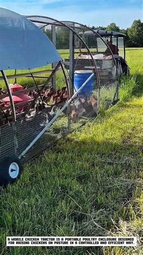 Mobile Chicken Tractor: Smart Pasture Farming in Action
