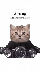 Ah yes, science via cat video | Universal World | Facebook