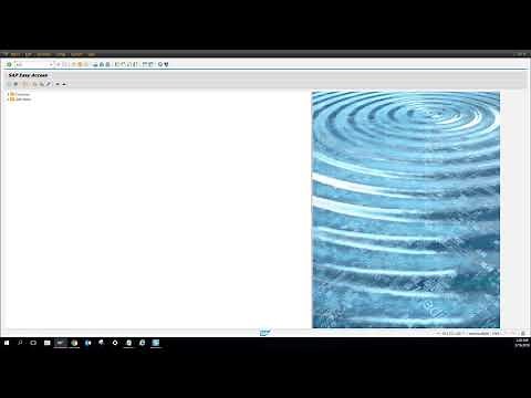 SAP - IP10 - How to Manually Call a PM - Schedule Maintenance Plan