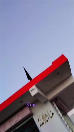 Understanding TikTok News: Latest Trends and Updates