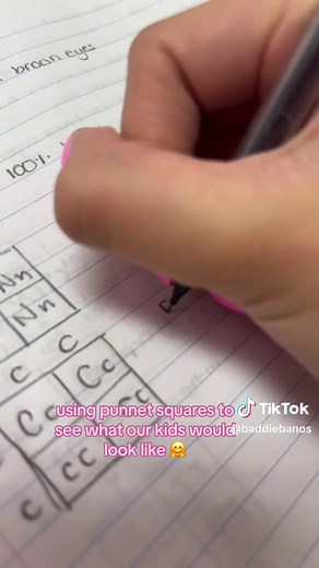 pookie lets test the theory | punnett square