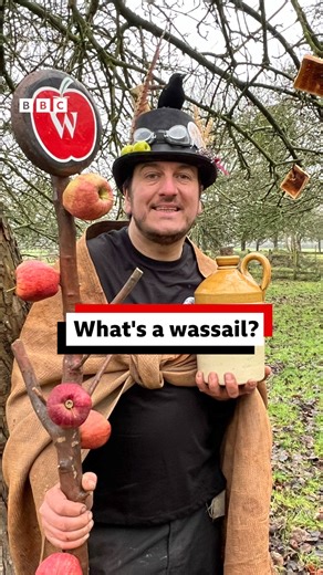We ❤️ a good Somerset tradition 🍎 It's January so it must be wassail time. But what is a wassail? Andy Bennett's got a great hat and the answer 🐦‍⬛ | BBC Somerset
