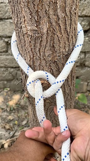 The King Of Knots Ever !
