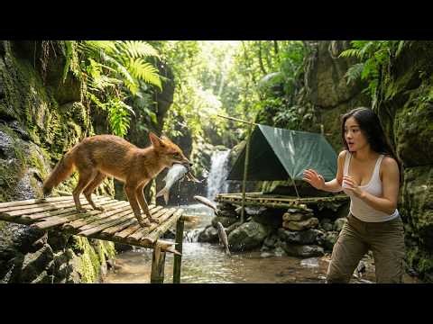 Midnight Survival: Wolves Stole My Fish While I Slept