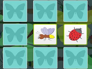 Play Kids Memory - Insects | Free Online  Games. KidzSearch.com