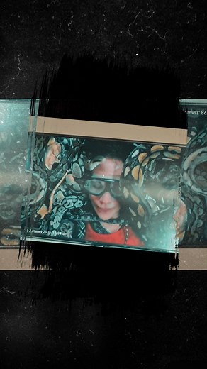 Who saw the incredible Sigrid Thornton in the snake pit on "I'm a Celebrity.." last night? This is THe BEst demonstration I have ever seen, of the power of the Mind! True story! Sigrid remained 1,000% calm, while 180 viper 🐍 snakes slid over her body, while she was laying in water in the dark, in a pit in the ground, for over 10 minutes 😲 I noticed Sigrid spoke softly to the snakes that she understood it was as unusual for them as it was for her (that's "compassion"), she spoke the words "than