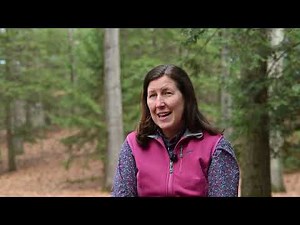 MEd in Adventure Education at Springfield College