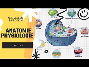 🔴 | Anatomie-Physiolgoie : La Cellule : الخلية | Arabe -العربية-Darija |Cours :Infirmier polyvalent|