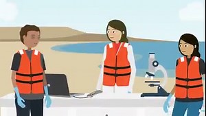 16K views · 29 reactions | Monitoring microbial hazards of shellfish using nanopore sequencing Microbial hazards in the marine environment can negatively impact the production of aquatic organisms or contaminate seafood, posing a threat to consumers. This project aims to develop new detection tools based on nanopore sequencing to monitor harmful microalgae as well as human and shellfish pathogens, using a one health approach. Watch the animation now: | Sci Ani | Facebook