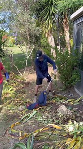 There’s always a nice rush of adrenaline when catching an Eastern Brown Snake! How beautiful is this big guy? 🐍 Josh absolutely nailed it 👏🏼 #snake #australia #wildlife #snakecatcher #reptile #qld #sunshinecoast #venomous | Sunshine Coast Snake Catchers 24/7