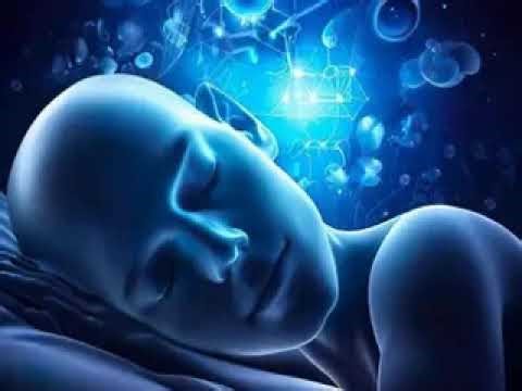 Blueprint of Sleeping SAPIEN MEDICINE