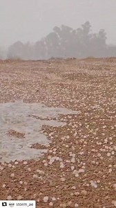 96K views · 1.4K reactions | Hail, rain, thunder, lightning in some parts of Dubai, Al Ain, and Masafi, partly cloudy weather across the UAE https://gulfnews.com/amp/uae/weather/video-hail-rain-thunder-lightning-in-some-parts-of-dubai-al-ain-and-masafi-partly-cloudy-weather-across-the-uae-1.1679387347910 | Gulf News | Facebook