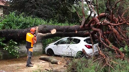 Italy weather: Summer storms sweep across northern regions