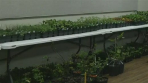 Grow your green thumb at the Jackson County Master Gardener Volunteer Plant Sale