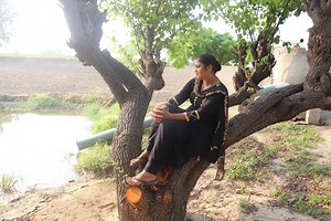 Fields of Punjab | North-Indian Cooking