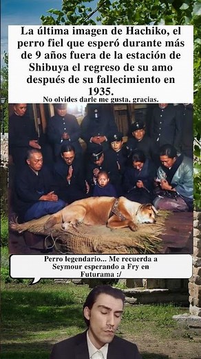 🐶 Última Foto De Hachiko El Perro Que Esperó 9 Años A Su Amo En La Estación Shibuya 📸
