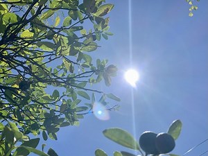 Mandaue City school shifts to online classes 'due to intense heat'