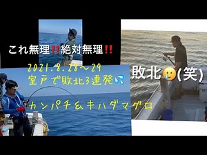 高知 室戸岬でジギングしてたらキハダとカンパチ 残念格闘編 美来丸