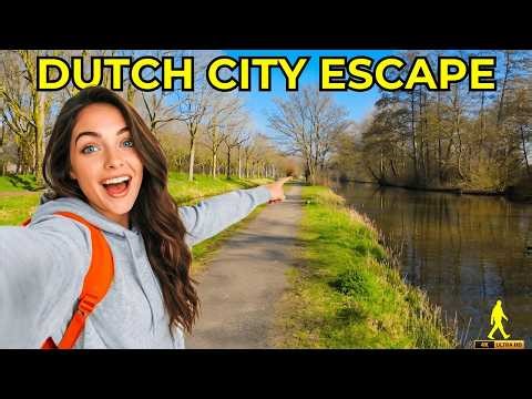 Relaxing Netherlands Walk | Explore this Breathtaking Dutch Schollebos Forest in 4K!