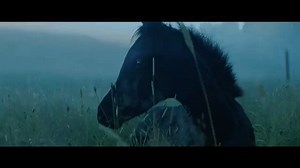 8.9K views · 197 reactions | Thank you Lloyd's Bank for using my song...