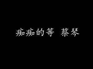 痴痴的等 蔡琴 (歌词版)
